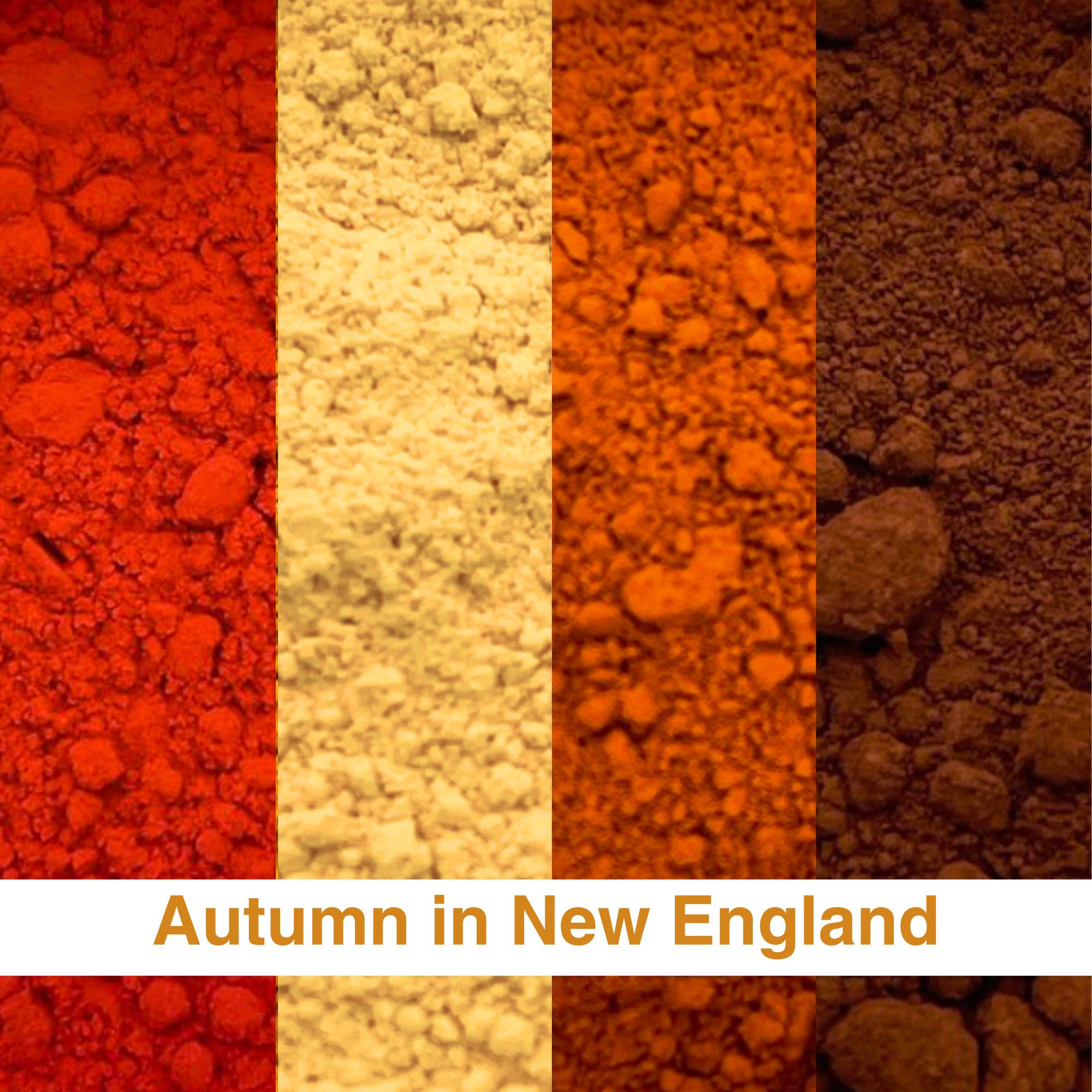 Sample Kit - Autumn in New England Pigment Bundle