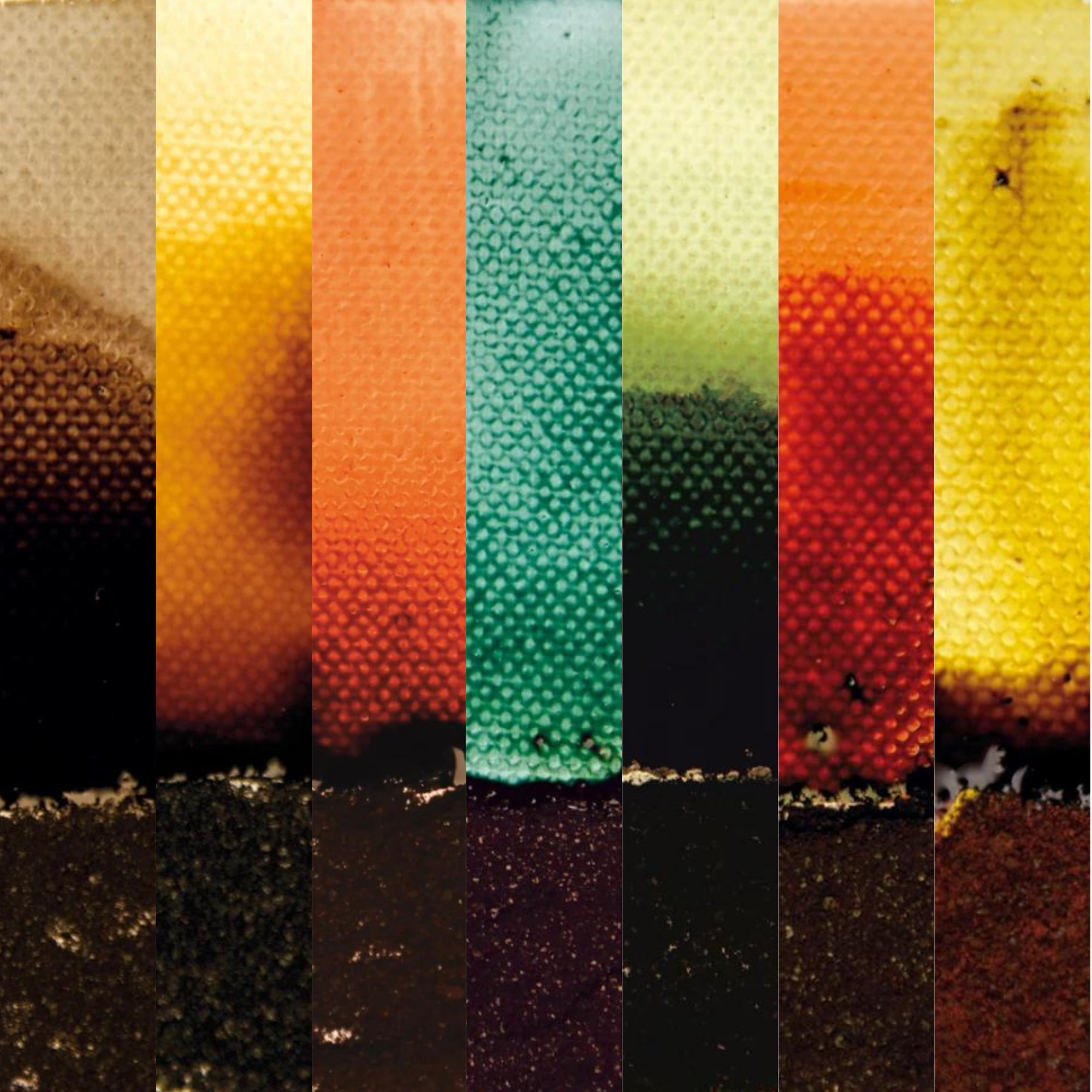 Sample Kit - Bister Powder Bundle