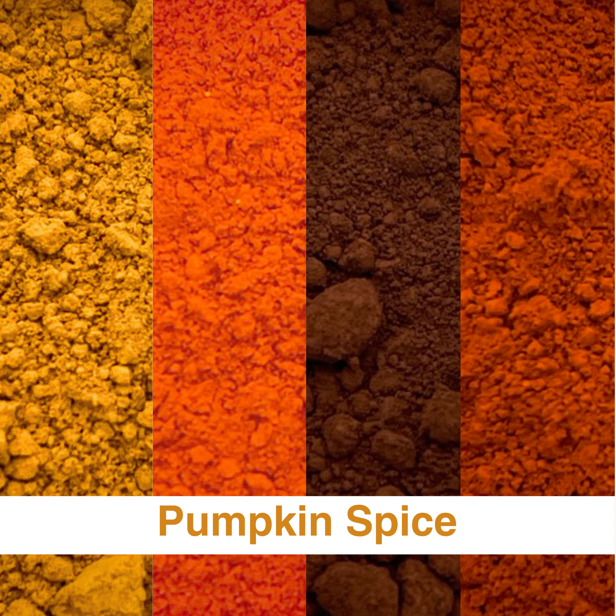 Sample Kit - Pumpkin Spice Pigment Bundle