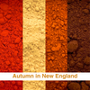 Autumn in New England