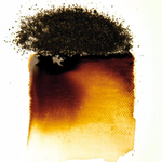 Bister Pigment Bundle