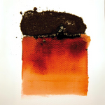 Bister Pigment Bundle