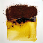 Bister Pigment Bundle