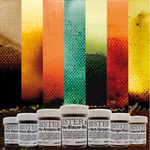 Bister Pigment Bundle