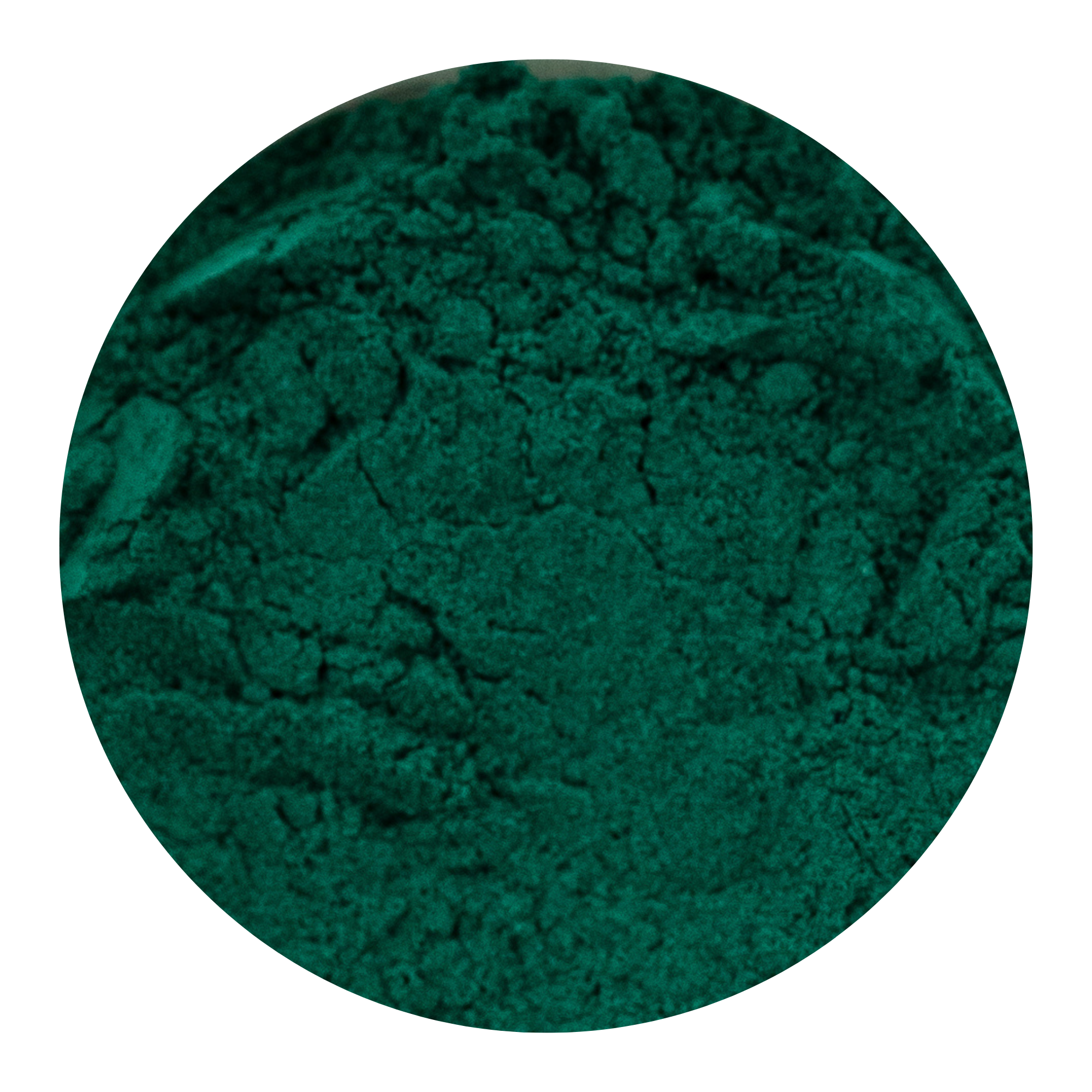 A circular close-up swatch of dark green powder texture on a white background.