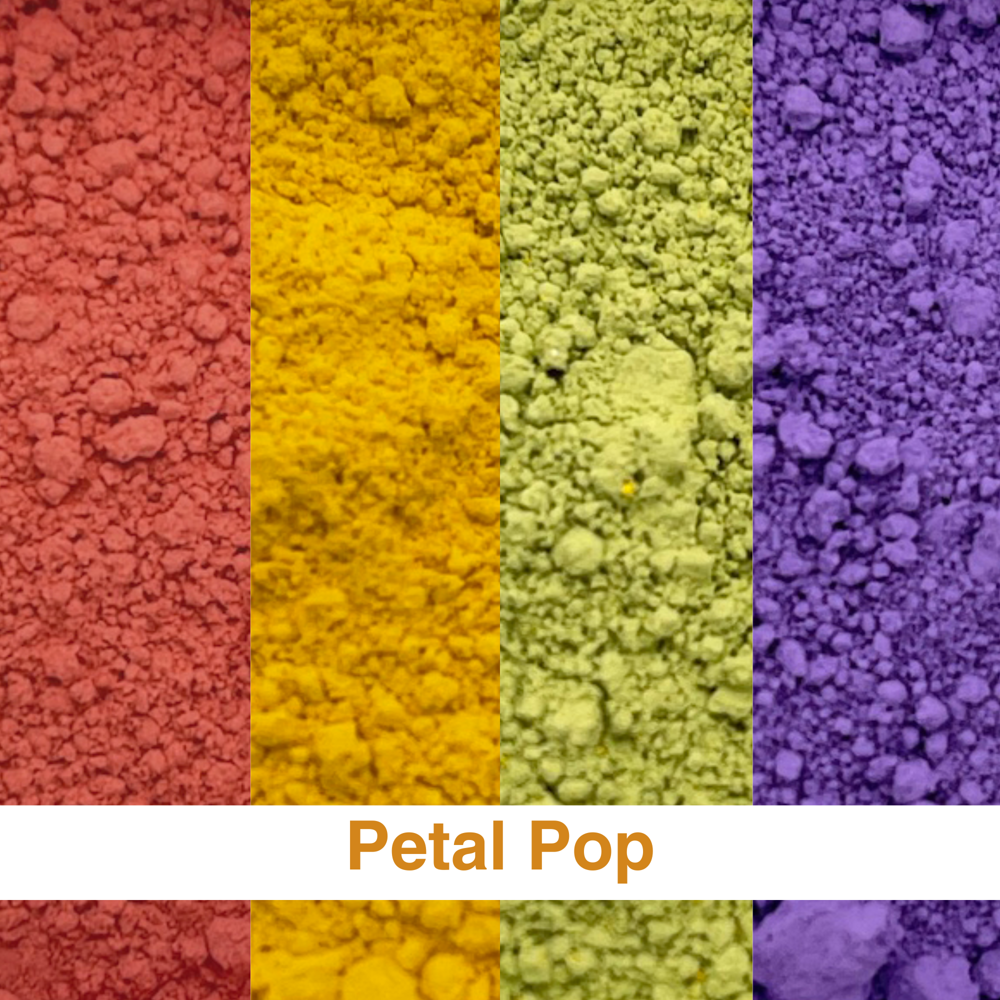 Petal Pop - Spring Pigment Bundle