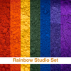 Rainbow Studio Set Pigment Bundle