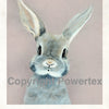 Rabbit - Animal Design for Powerprint