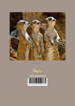 Animal Kingdom Book by Brigitte Grade